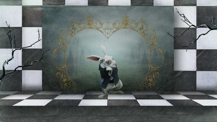 Follow the White Rabbit – Mastermind – Αθήνα Follow the White Rabbit - Mastermind - Αθήνα