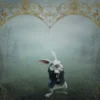 Follow the White Rabbit - Mastermind, Αθήνα