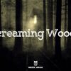 Screaming Woods - Magic Door - Πειραιάς