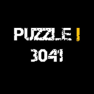Puzzle 3041