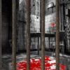 Serial Killer: Trapped - Brain Quest - Κηφισιά