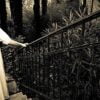 Lost Children - Haunted Rooms - Αγία Παρασκευή