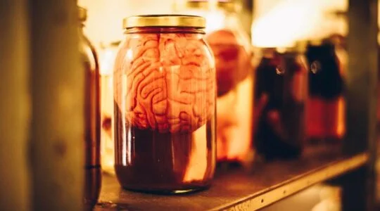 Frankestein’s Legacy - Brain Cells - Πειραιάς