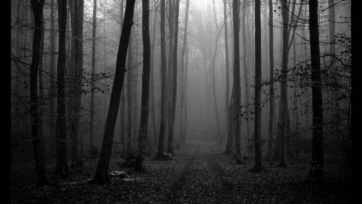 The Litchver Woodland - Ban Bang Theory 2 - Αγιος Δημήτριος