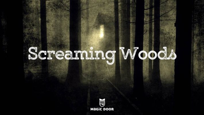 Screaming Woods - Magic Door - Πειραιάς