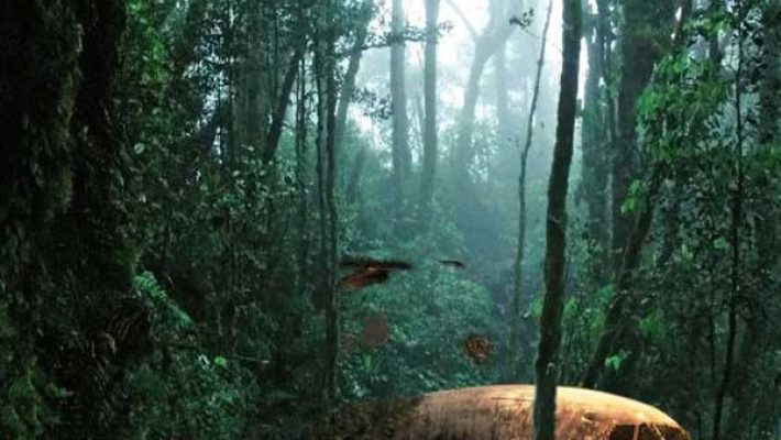 Jungle Crash: The missing Plane - Brain Quest - Κηφισιά