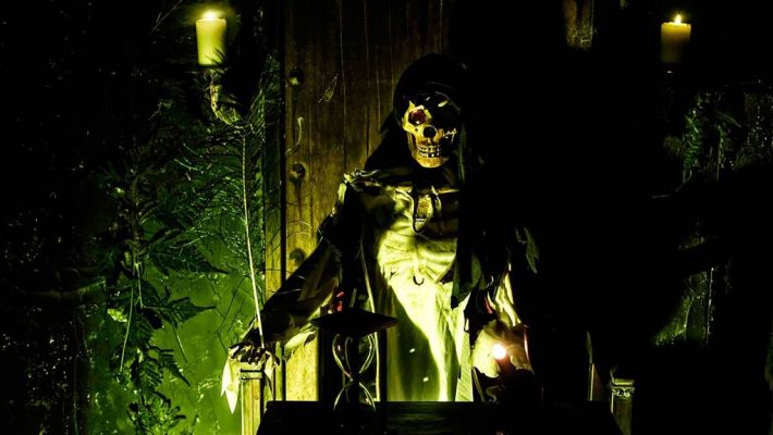 THE CURSED WILLY - Sherlocked Homes, Περιστέρι