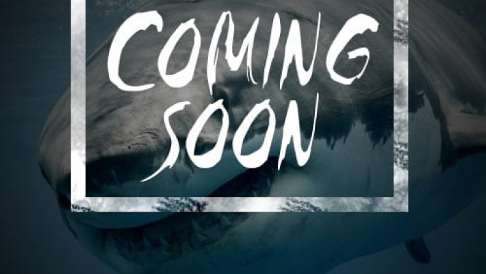 Terror at Sea - Escape Your Mind - Περιστέρι